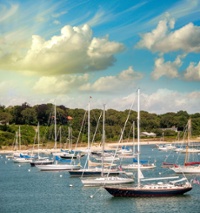SafeHarbor